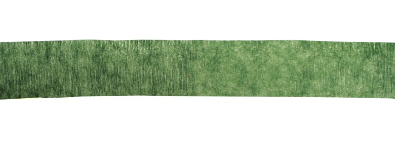 Ταινία λουλουδιών πράσινη 12mm 27,4m Decora