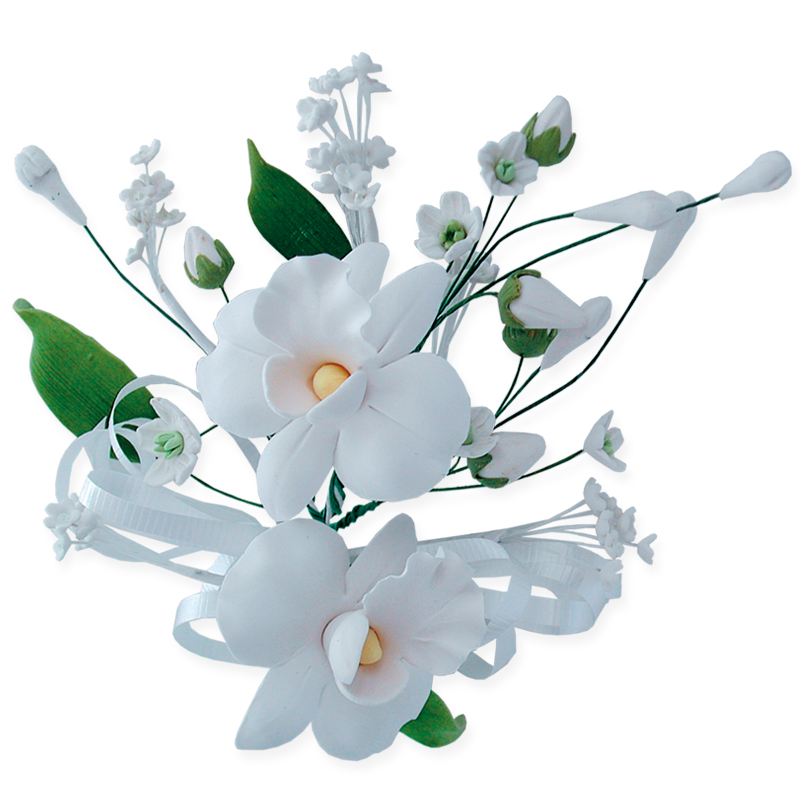 Ορχιδέα λευκή μη βρώσιμη Sugart