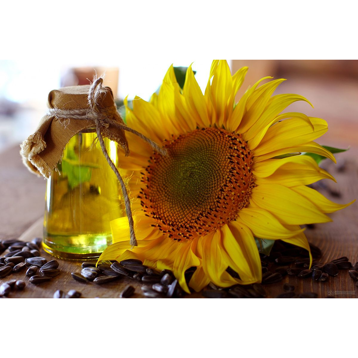 Ηλιέλαιο 10 lit