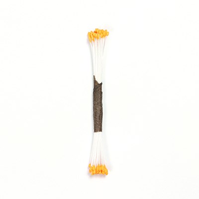 Στήμονες λεπτοί ροδακινί  50τεμ PME